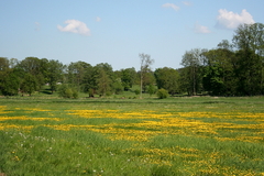 Killikus&reg; Fotographie